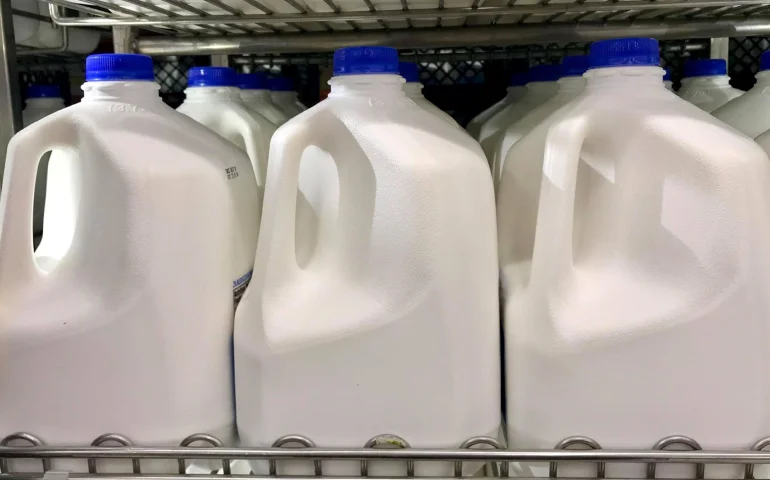 Full Fat Dairy Products