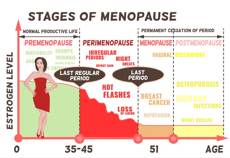 Does Perimenopause Relate to Early Menopause? stage of menopause